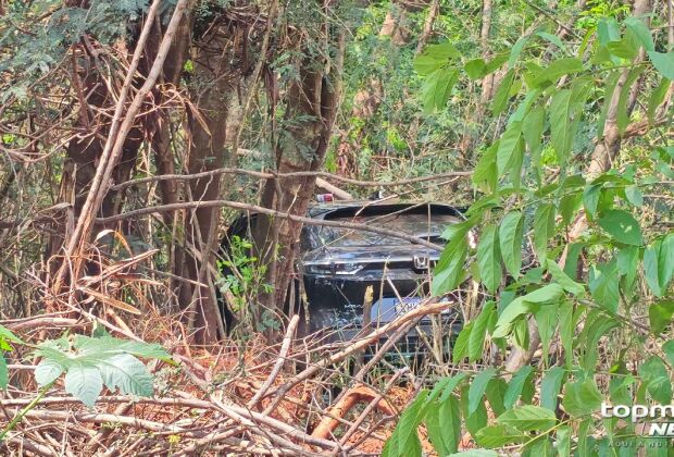 Condutor de um HR-V deixou o local ap&oacute;s a batida e acabou entrando em uma &aacute;rea de mata