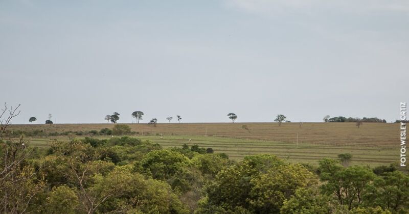 Crime aconteceu em uma fazenda de Rochedo