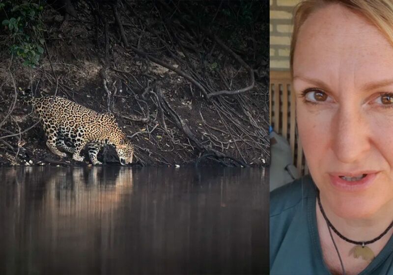 Lydia Theresia Mocklinghoff passou pelo Pantanal sul-mato-grossense em junho de 2025, quando registrou diversos momentos e publicou nas redes sociais