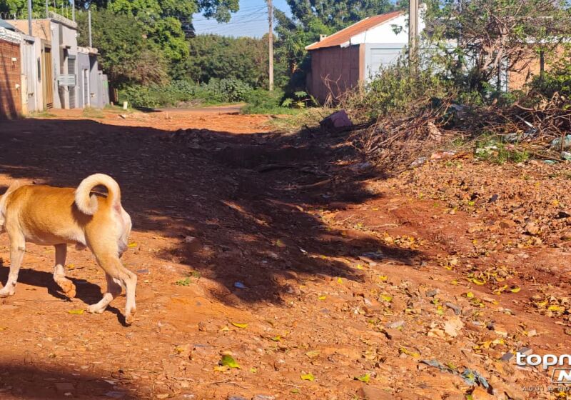 Moradores jogam pedregulhos em buracos para evitar acidentes em buracos  