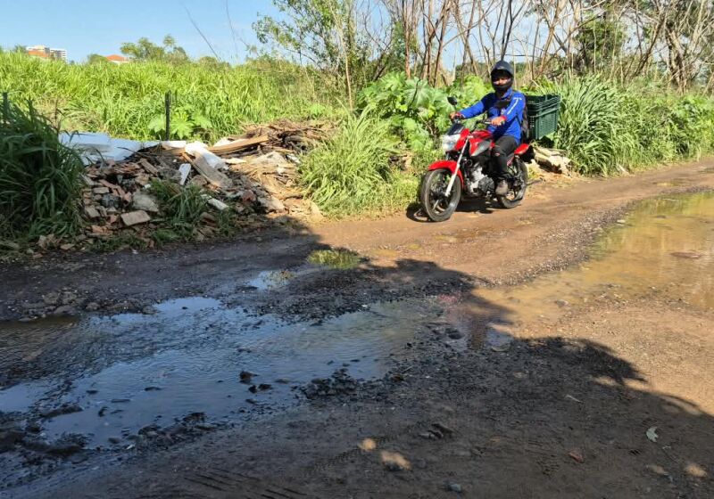 As margens da rua s&atilde;o tomadas por matagal e o local virou ponto de descarte de lixo e entulho