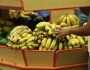 Banana sobe quase 30% em Campo Grande e junto da energia foi vilã da inflação em dezembro