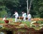 Tragédia anunciada: MS registra recorde com 60 mortes pela covid-19