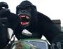 Família de criança que caiu de 'gorila' no Beto Carrero arrecadou dinheiro para ir ao parque