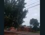 Moradora calcula prejuízos de tempestade e espera poda de árvore no Santa Carmélia