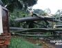 Temporal derruba árvore e destrói portão de casa em Campo Grande