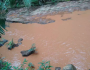 Córrego das Antas é atingido por lama e águas cristalinas desaparecem