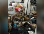 Polícia resgata mais de 20 gatos que viviam em casa repleta de sujeira na Vila Planalto (vídeo)