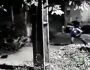 Homem atira pedra em gato e moradora quer deixar suspeito 'famosinho' no Cohafama (vídeo)
