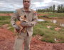 Cãozinho é resgatado após cair em buraco em Nova Andradina