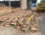 Temporal 'surpresa' destruiu barracos e derrubou árvores e muros na Capital