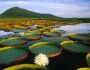 Na Lata: maior patrimônio de MS, Pantanal está ameaçado e pode acabar