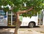 Passagem de ônibus terá preço social durante aniversário de Corumbá