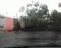 Chuva intensa causa queda de árvores e de energia em diversas regiões de Campo Grande