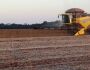Colheita da soja chega a 75% da área de Mato Grosso do Sul com boa produtividade