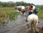 Feriado prolongado sugere um novo turismo: vivenciar a cheia no Pantanal
