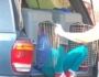 VÍDEO: mulher é presa por transportar netos em gaiola para cães