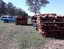 Fazendeiro é multado pela PMA por armazenamento ilegal de madeira em MS