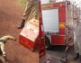 Bombeiros capturam tamanduá mirim e jiboia em área urbana de Corumbá