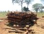 PMA multa fazendeiro por usar madeira ilegal para construir cerca