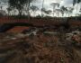PMA flagra desmatamento ilegal de quatro hectares em fazenda no cerrado de MS