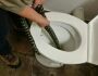 'Olha a cobra': mulher é picada por serpente ao usar vaso sanitário