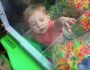Criança de 2 anos fica presa em máquina de pegar brinquedos e precisa de resgate
