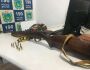 Operação Carnaval: homem é preso com rifle em cidade de MS