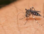 Em MS, SES ressalta sobre cuidados para prevenir dengue