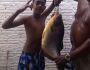 Morador de Três Lagoas pesca peixe de 12kg