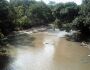 Pantanal de Rio Negro é palco de farra com caça e pesca ilegais durante 'feriadões', diz morador