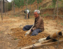 Vovô sem pernas planta 17.000 árvores em 19 anos e salva floresta