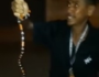 VÍDEO: homem brinca com cobra-coral, é picado e morre