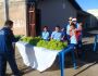 Jovens down e autistas vendem frutas e verduras da própria hortinha em Campo Grande
