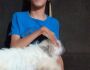 VÍDEO: menino com paralisia espera todos os dias no portão pelo retorno de cachorra desaparecida
