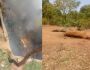 Polícia Civil autua fazendeiro que queimou vacas mortas utilizando pneus