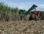 Bolsonaro revoga decreto que impede cultivo de cana em áreas como Amazônia e Pantanal