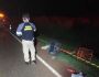 Ciclista morre após ser atropelado e arremessado em rodovia