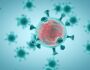 TEORIA DA CONSPIRAÇÃO: China não criou novo coronavírus, aponta estudo