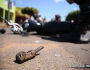 ‘Brincadeira’ com final trágico: após empinar moto, piloto e garupa morrem em Ribas do Rio Pardo