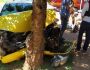 Mulheres fogem da polícia e arrebentam carro com cocaína contra árvore em Nova Andradina
