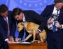 Com cachorro no colo, Bolsonaro sanciona pena maior para maus-tratos a animais