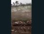 VÍDEO: queda de granizo pareceu mais tiroteio e bomba na sede do Cotolengo MS