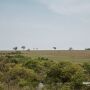 Crime aconteceu em uma fazenda de Rochedo