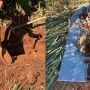 A perícia foi acionada e o corpo foi localizado em uma fazenda