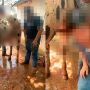 Vídeo mostra homens incitando o menor a masturbar o animal e tentando colocar o membro do cavalo na boca da vítima