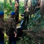 Animal deve ser trazido para Campo Grande