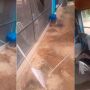 Animal rasgou tela e revirou lona em que corpo de Jorge foi carregado