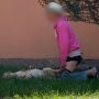 O animal foi resgatado com ferimentos na região genital; o idoso foi preso em flagrante