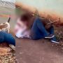 Gravação tem mais de 4 minutos; situação é desesperadora, com tutora no chão tentando separar os animais